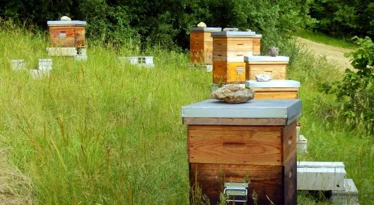 A couple of bee hives that are placed to prevent elephants from wandering too far.