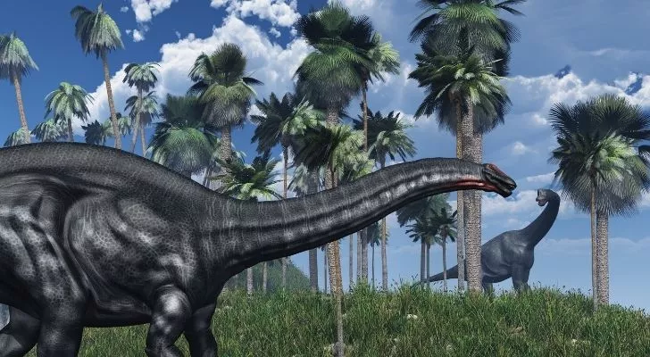 A brachiosaurus with his long neck