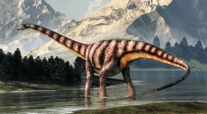A Diplodocus dinosaur