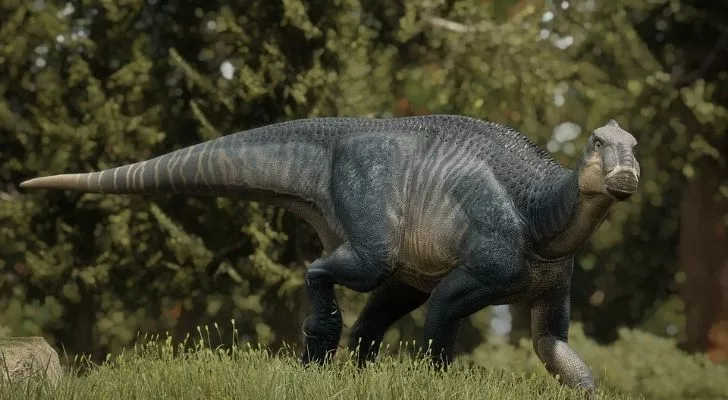 An Iguanodon dinosaur