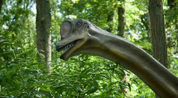 A dinosaur from the Mesozoic era