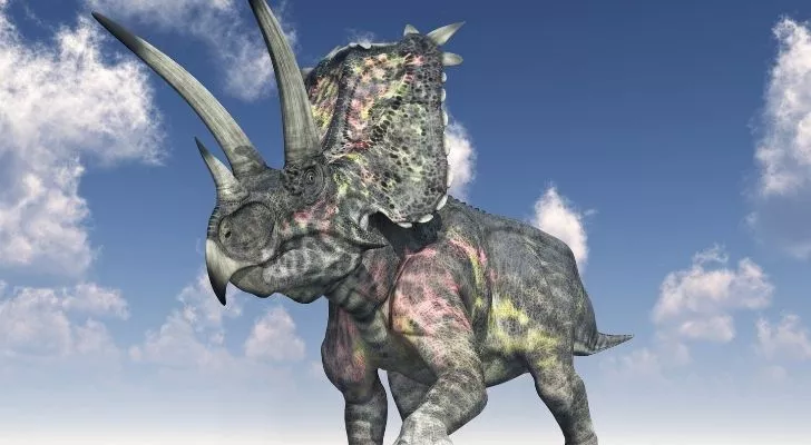 A Pentaceratop