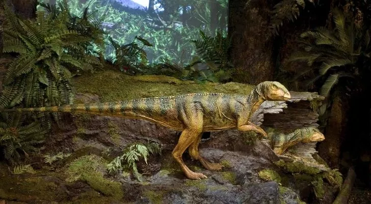 Qantasaurus dinosaur