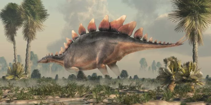 Facts about the stegosaurus dinosaur