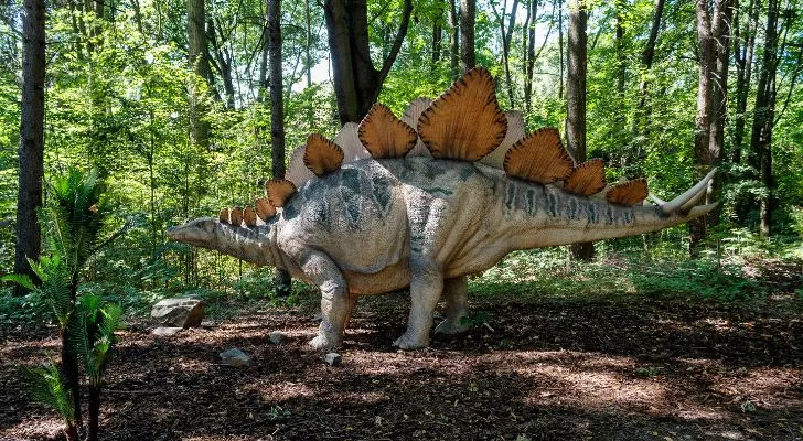 The stegosaurus dinosaur had spikes along its spine